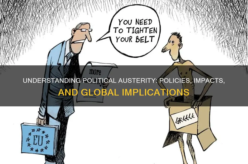 what is political austerity