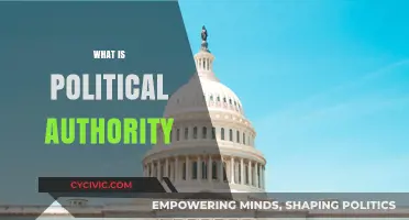 Understanding Political Authority: Power, Legitimacy, and Governance Explained