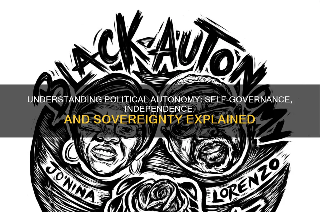 what is political autonomy