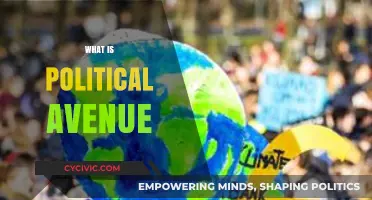 Understanding Political Avenue: A Comprehensive Guide to Its Role and Impact