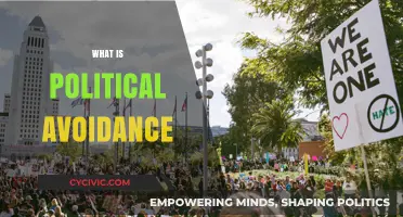 Understanding Political Avoidance: Why People Shun Civic Engagement