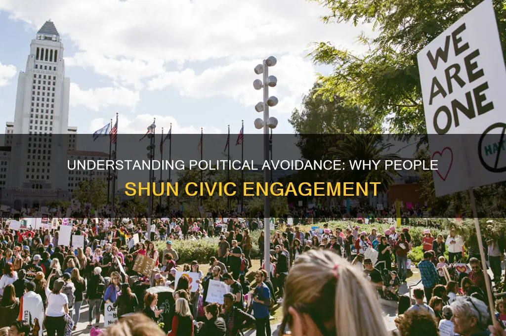 what is political avoidance