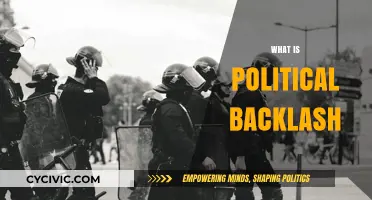 Understanding Political Backlash: Causes, Effects, and Real-World Implications