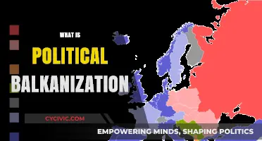 Understanding Political Balkanization: Causes, Effects, and Global Implications