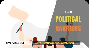 Understanding Political Barriers: Challenges to Progress and Unity Explained