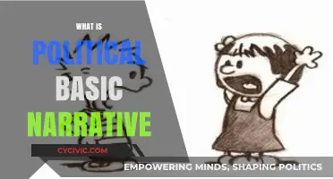 Understanding the Core: What is a Political Basic Narrative?