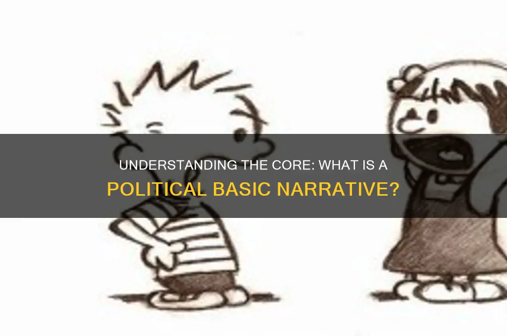what is political basic narrative