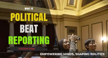 Understanding Political Beat Reporting: Roles, Challenges, and Impact Explained