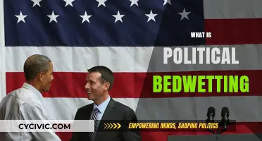 Understanding Political Bedwetting: Causes, Implications, and Real-World Examples