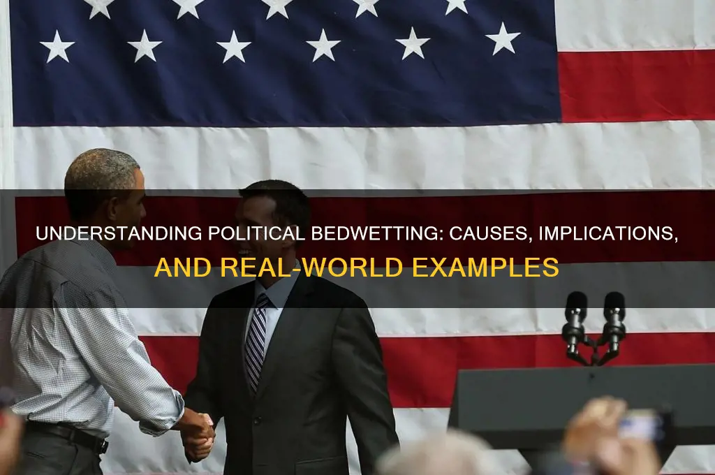 what is political bedwetting