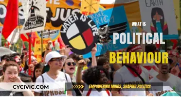 Understanding Political Behavior: Actions, Motivations, and Societal Impact Explained