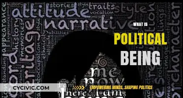 Understanding the Essence of Political Being: Identity, Power, and Society