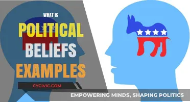 Understanding Political Beliefs: Examples and Their Impact on Society
