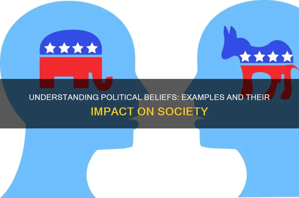 what is political beliefs examples