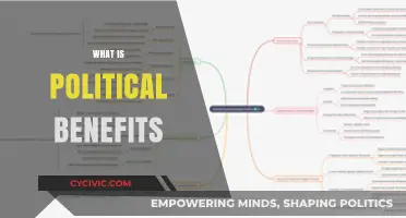Understanding Political Benefits: Power, Influence, and Public Welfare Explained