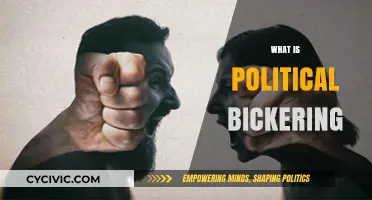 Understanding Political Bickering: Causes, Consequences, and Constructive Solutions