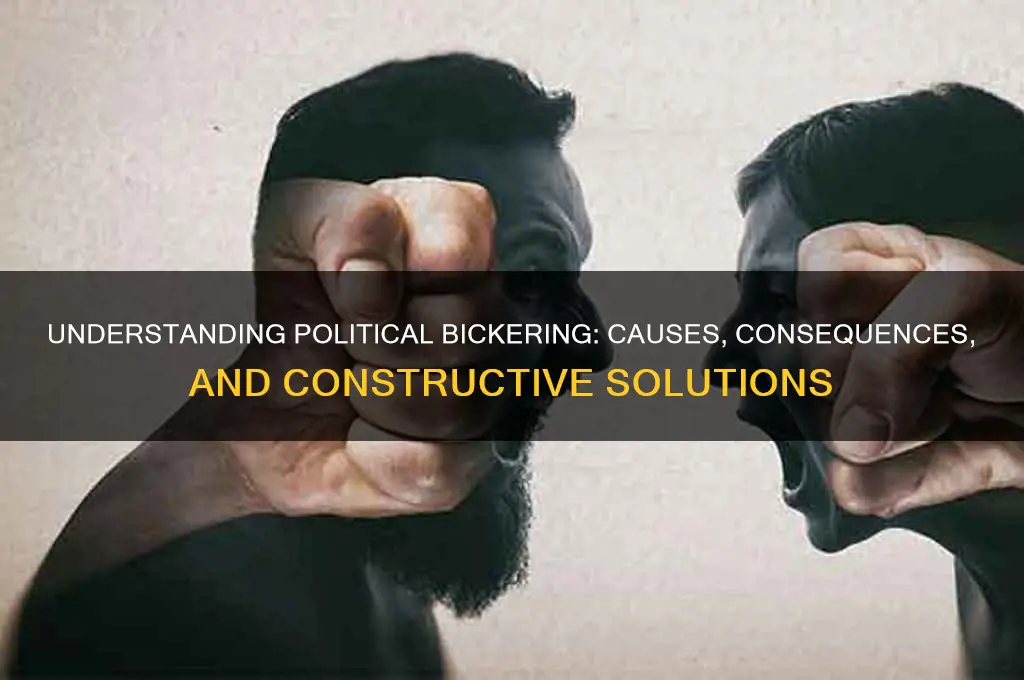 what is political bickering