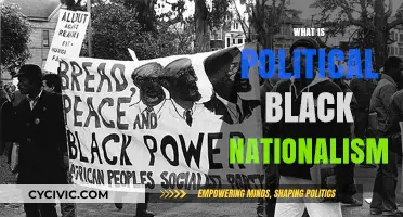 Understanding Political Black Nationalism: Origins, Ideology, and Modern Influence
