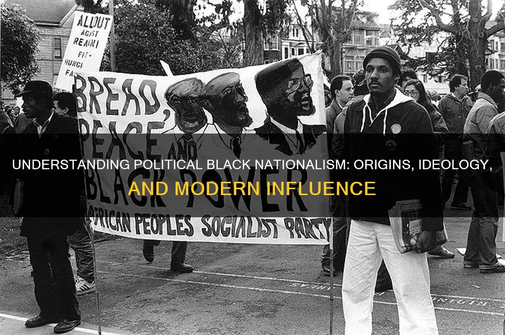 what is political black nationalism