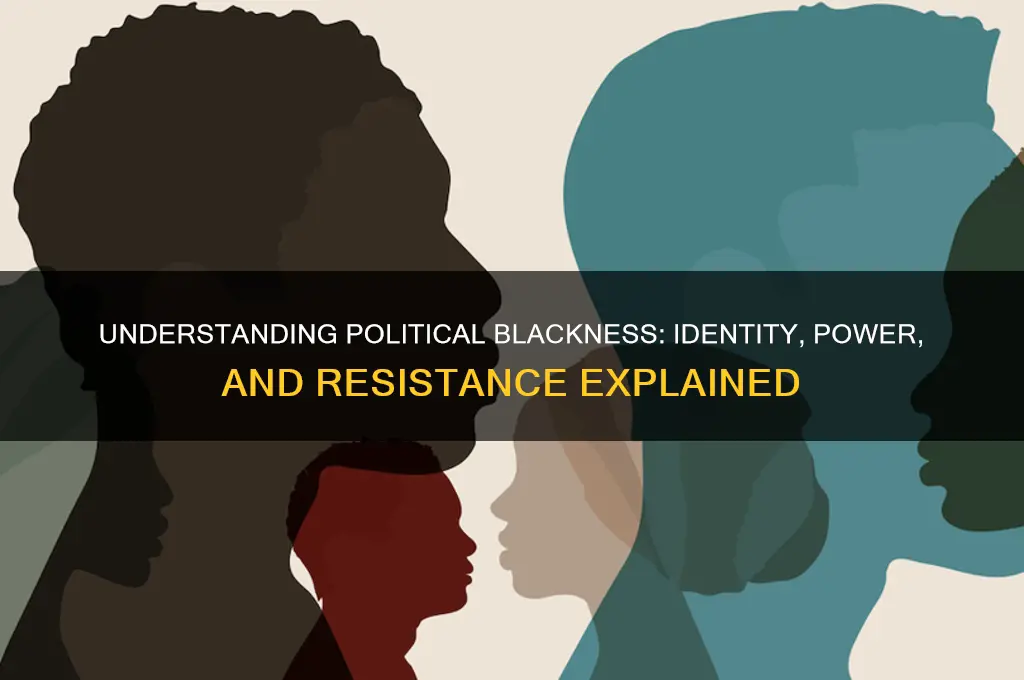 what is political blackness