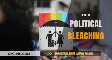 Understanding Political Bleaching: A Stealthy Tactic in Modern Politics