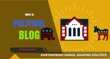 Understanding Political Blogs: Purpose, Impact, and Influence Explained