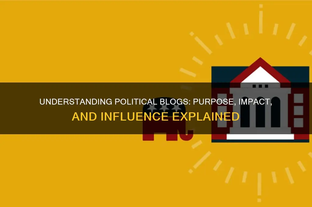 what is political blog