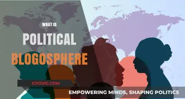 Exploring the Political Blogosphere: Voices, Influence, and Digital Democracy