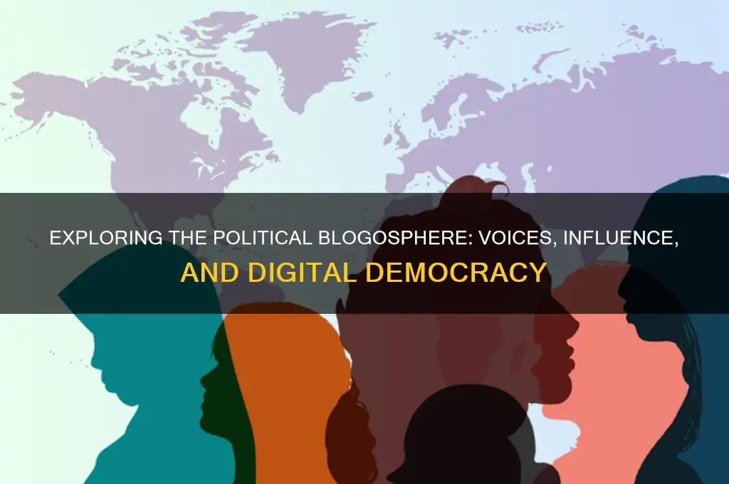 what is political blogosphere