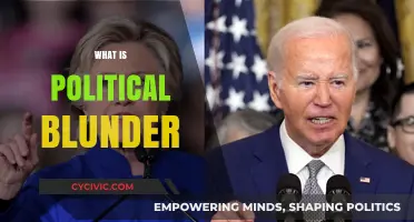 Understanding Political Blunders: Causes, Consequences, and Historical Examples
