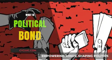 Understanding Political Bonds: Definition, Importance, and Real-World Applications