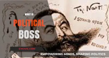 Understanding the Role and Influence of a Political Boss in Power