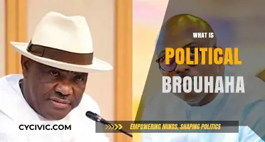 Understanding Political Brouhaha: Causes, Impact, and Real-World Examples