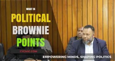 Understanding Political Brownie Points: Meaning, Usage, and Strategic Implications