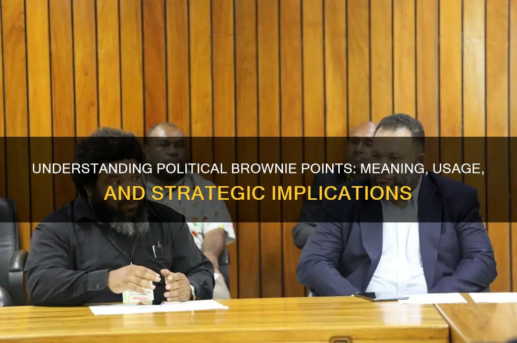 what is political brownie points