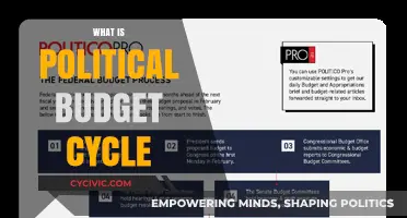 Understanding the Political Budget Cycle: Elections, Spending, and Fiscal Policies