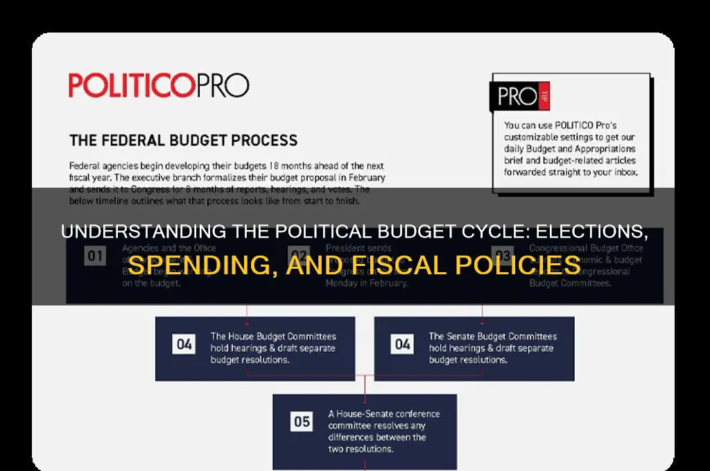 what is political budget cycle