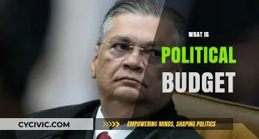 Understanding Political Budgets: Allocation, Impact, and Public Spending Explained