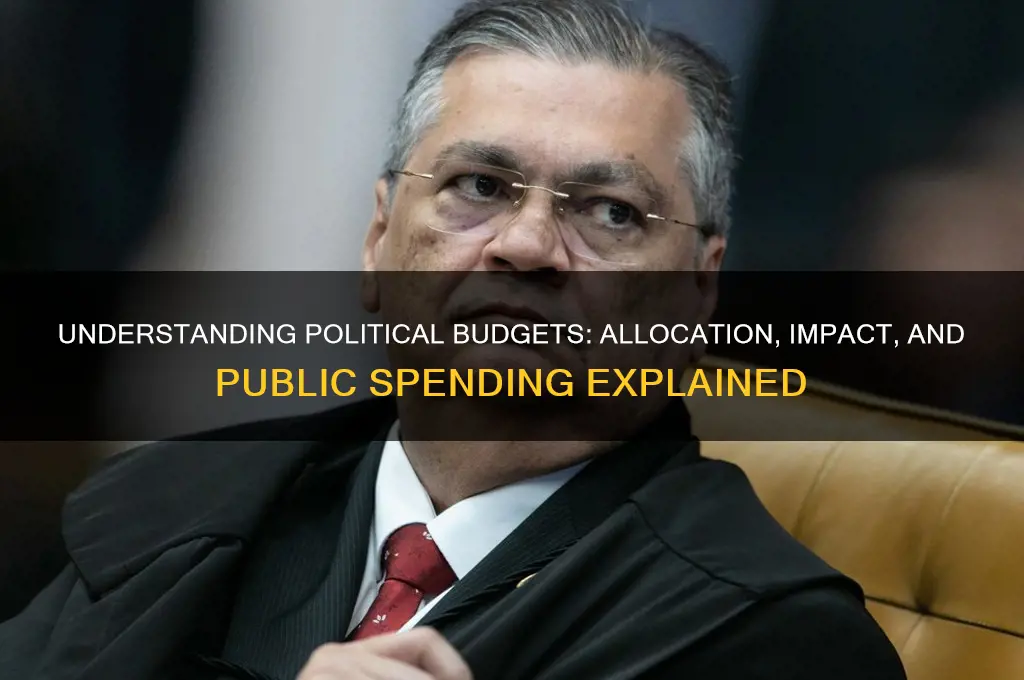 what is political budget