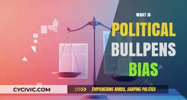 Unveiling Political Bullpens Bias: Understanding Media Influence and Partisanship
