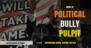 Understanding the Political Bully Pulpit: Power, Influence, and Leadership