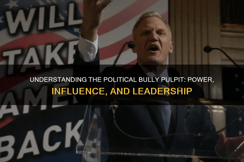 what is political bully pulpit