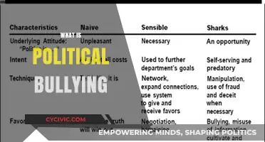 Understanding Political Bullying: Tactics, Impact, and How to Combat It
