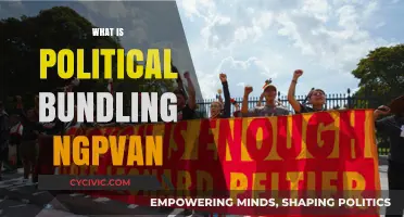 Understanding Political Bundling: The Role of NGP VAN in Campaigns