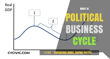 Understanding the Political Business Cycle: Economics Meets Elections