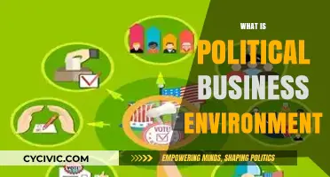 Understanding the Political Business Environment: Key Factors and Impacts