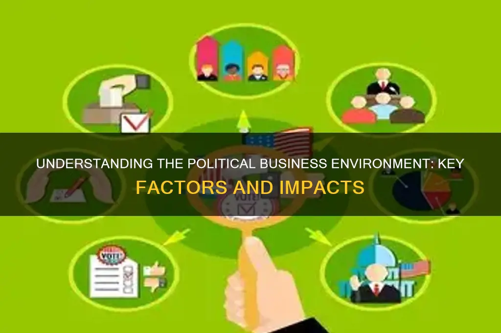 what is political business environment