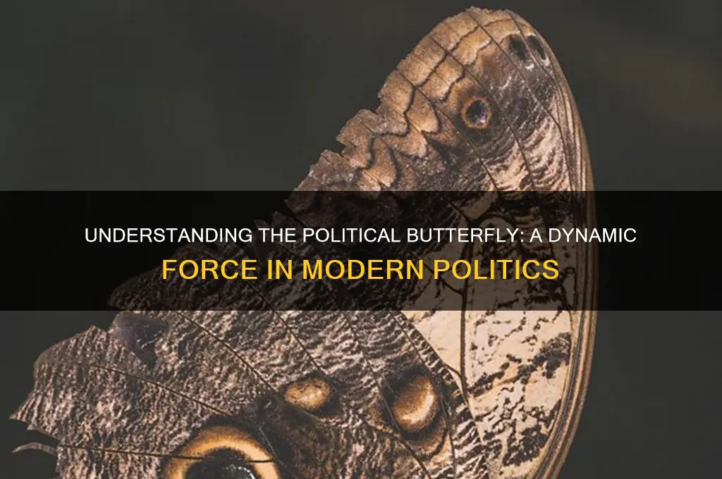 what is political butterfly