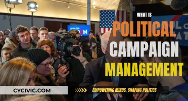 Campaign Management: Political Strategy and Execution