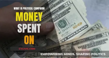 Campaign Spending: Where Does the Money Go?